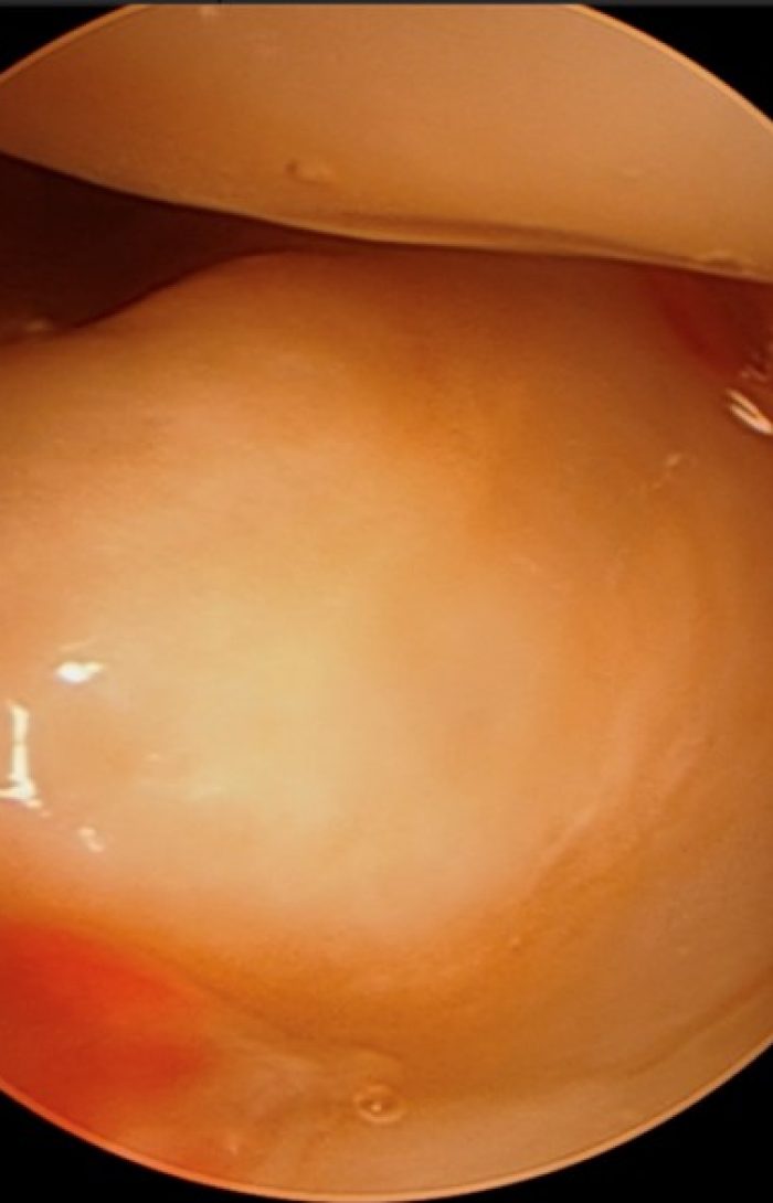 fct-imagem fct-imagem